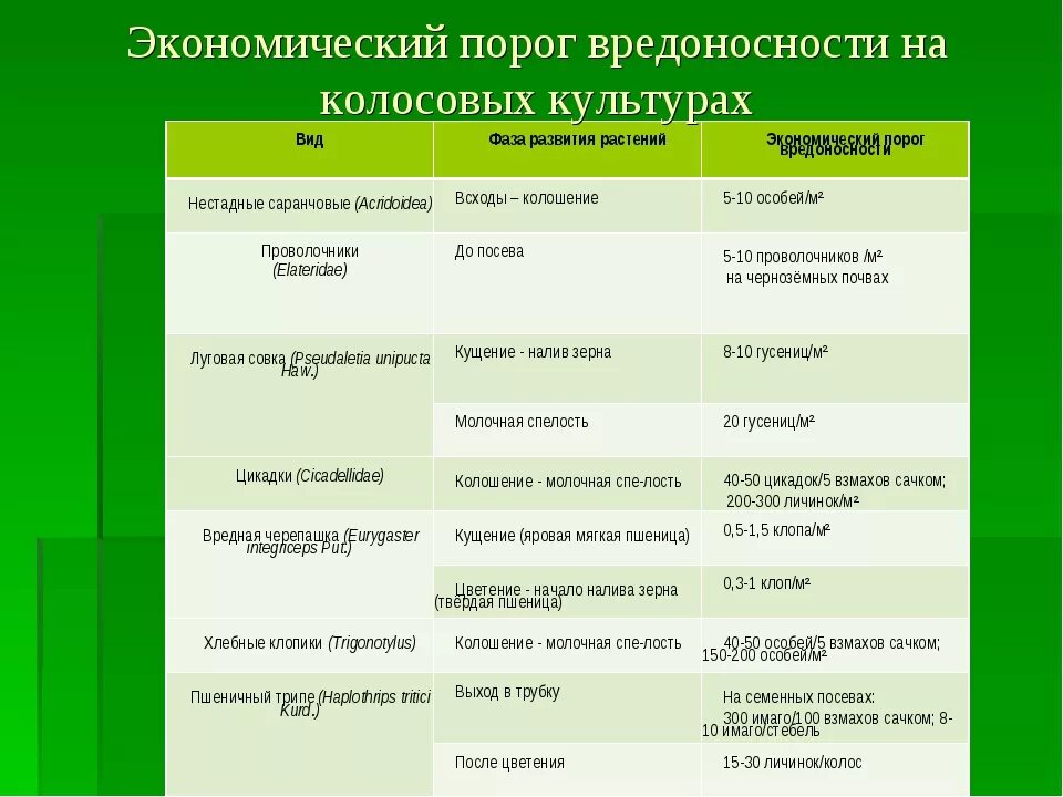 Методы учета растений