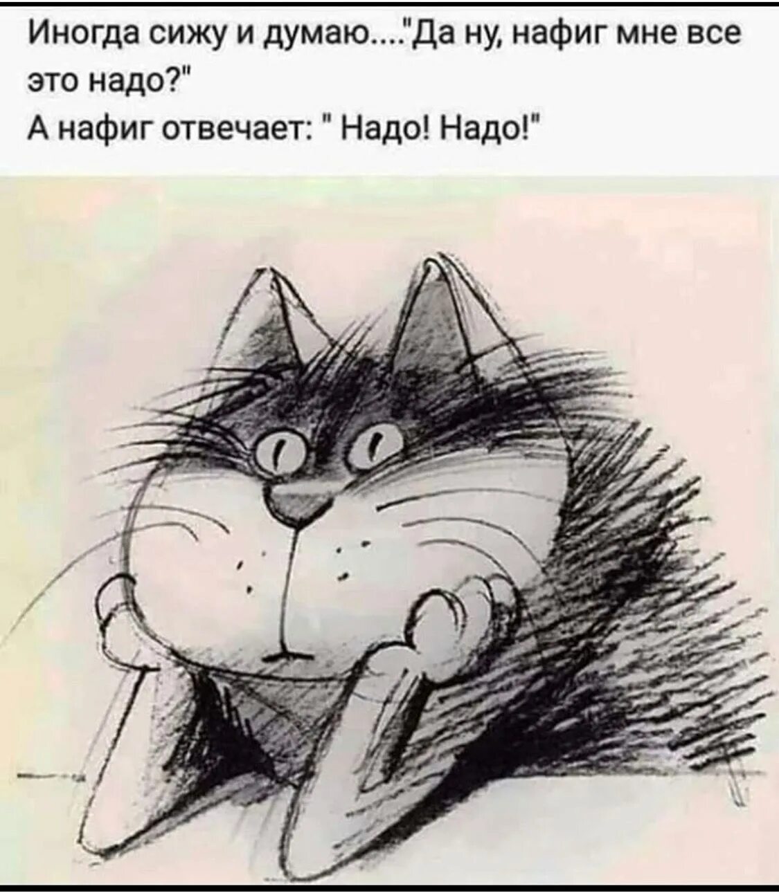 Песню думаю сижу и думаю. Смешные рисунки. сижу и думаю цитаты. мудрые мысли кота. смешные рисованные коты.