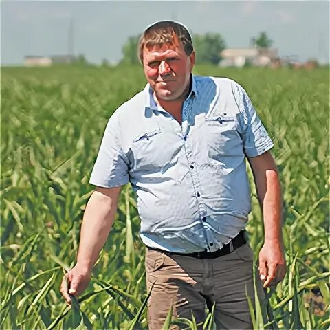 Кфх юров