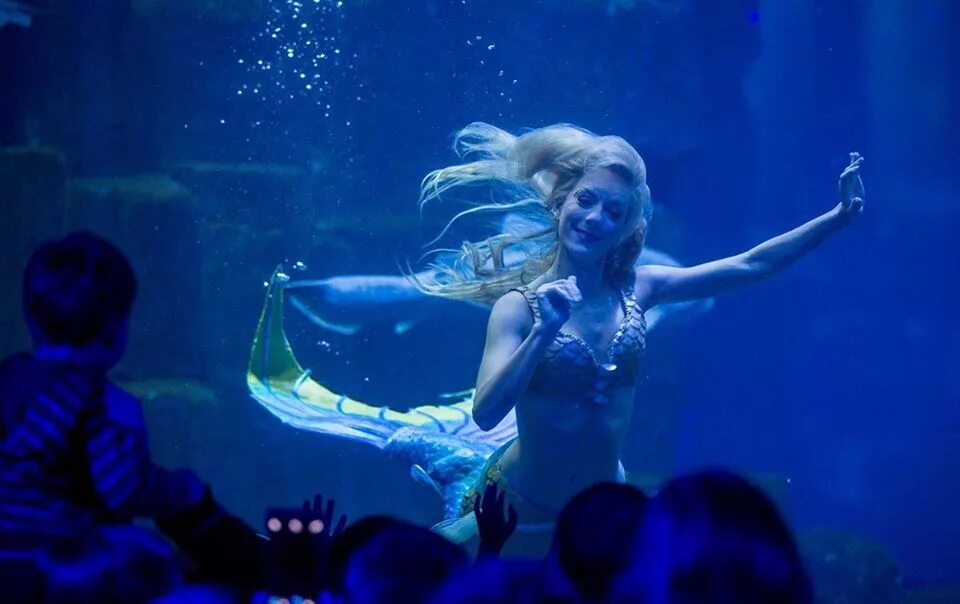 втб арена шоу русалочка билеты