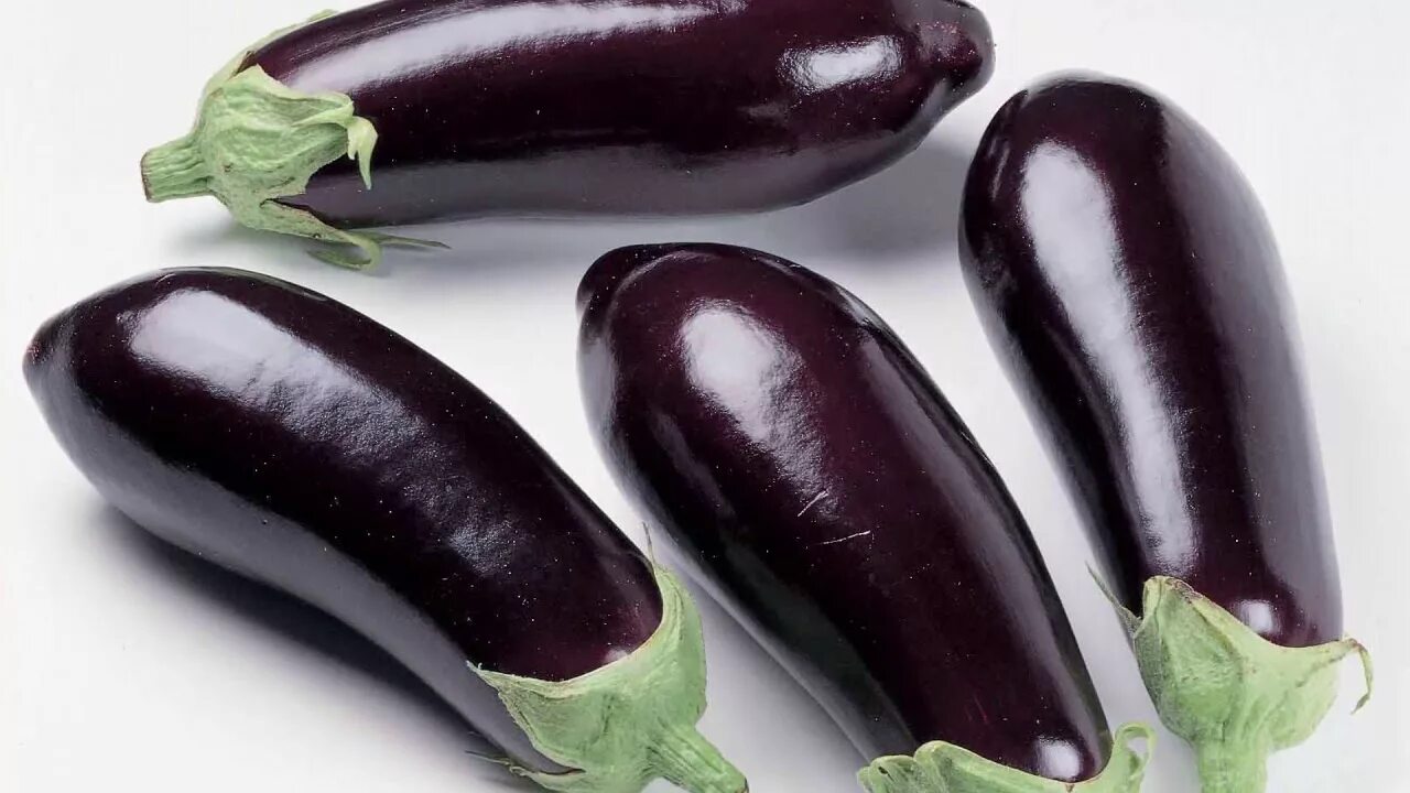 Конкурент баклажана. Баклажан альбатрос. Баклажаны желтые. Баклажаны. Баклажан сибирский ятаган.