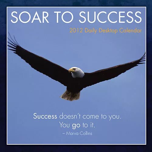 Soaring перевод. Soaring перевод