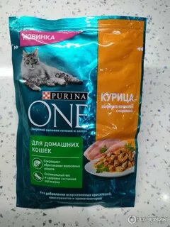 Корм влажный для котят purina