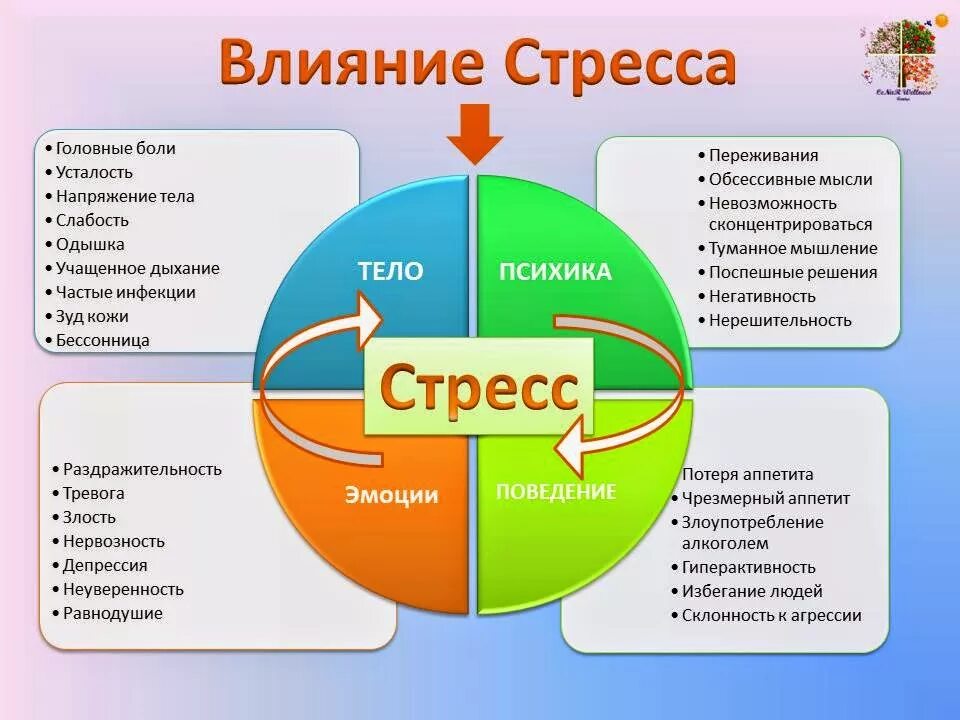 взаимодействие физического и психического здоровья. физическое психическое и нравственное здоровье. взаимодействие физического и психического здоровья. психологически здоровый человек. психическое и социальное здоровье человека.