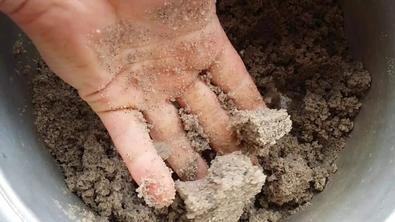 Стратификация песка. Семена стратифицируют в перлите. Посев земляники семенами на рассаду на снег. Стратификация семян в домашних. Стратификация песка.