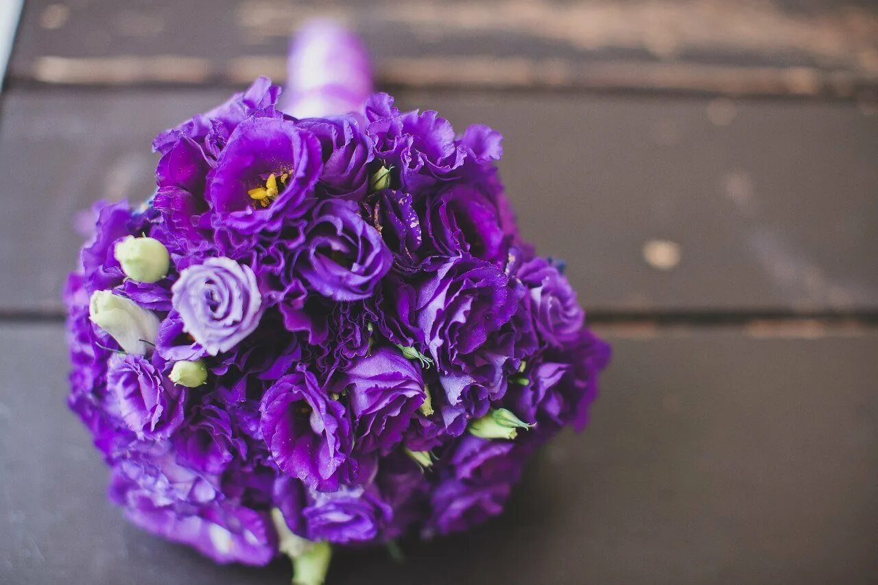 Violet bouquet