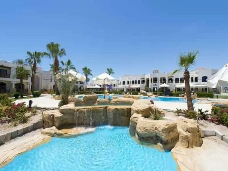 Shores Amphoras Resort 5 Шарм-Эль-Шейх. Амфора Бич 5 Шарм-Эль-Шейх. Shores Amphoras 5 Египет Шарм-Эль-Шейх. Amphoras Aqua 4 Шарм-Эль-Шейх.