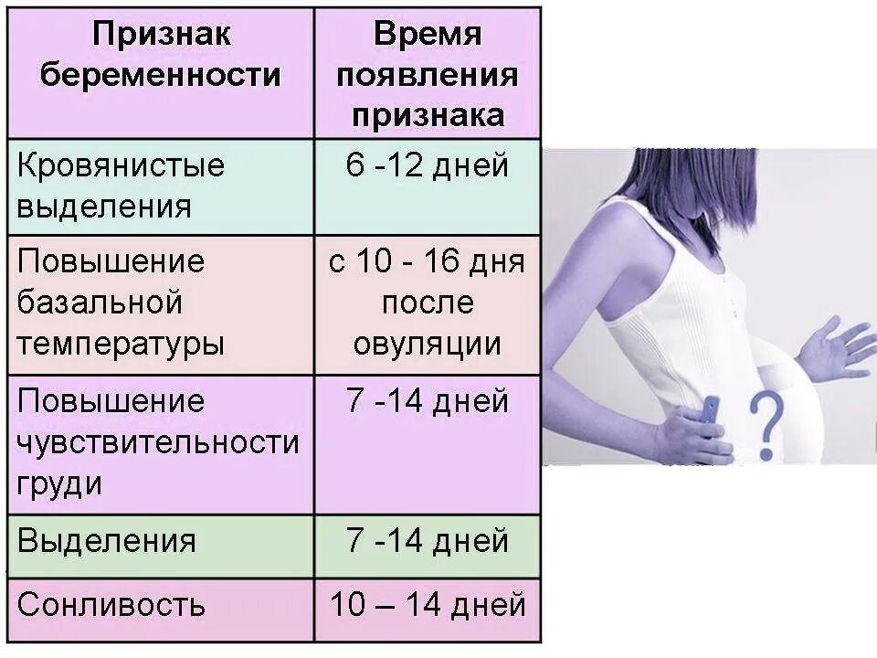 Через какое время беременности