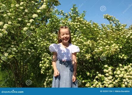 Куст девочка