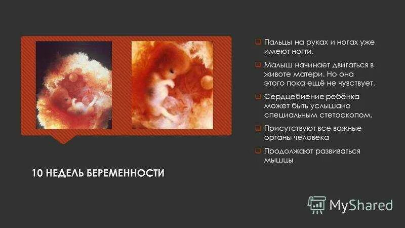 На каком сроке чувствуется ребенок