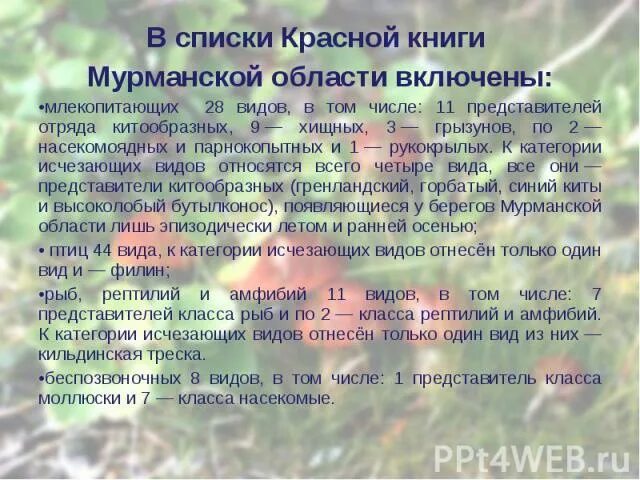 Презентация по экологии на тему "Кандалакшский природный заповедник" (10 класс)