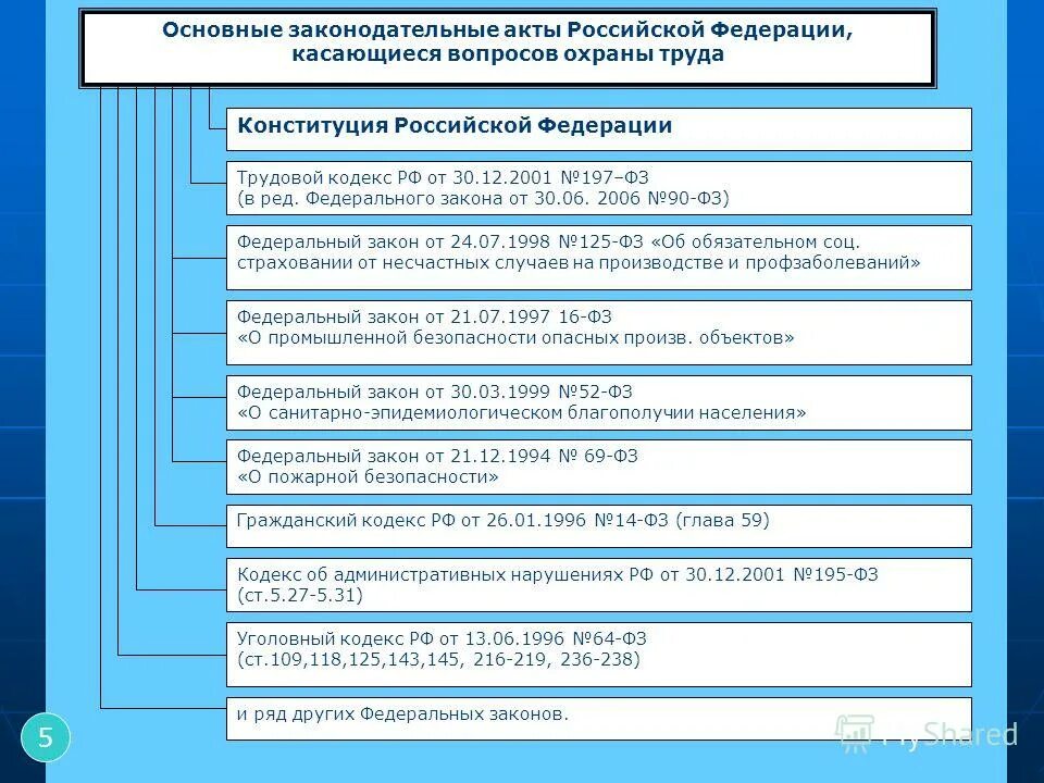 вопросы охраны труда в конституции