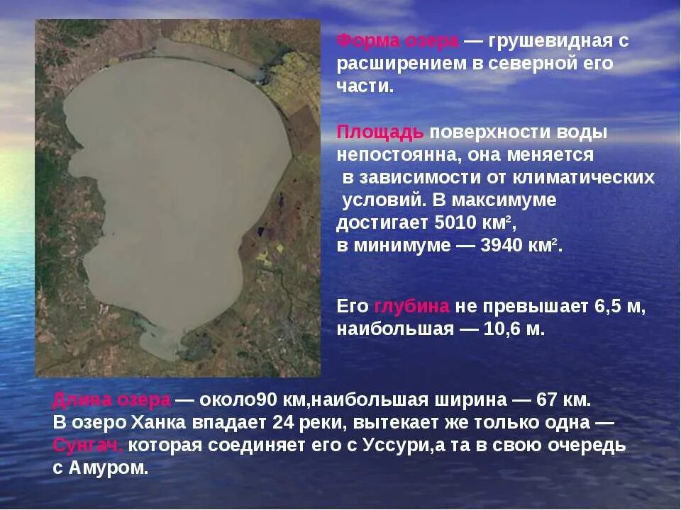 ханка происхождение. озеро ханка дальний восток. ханка происхождение. особенные черты озера ханка. озеро ханка размеры.