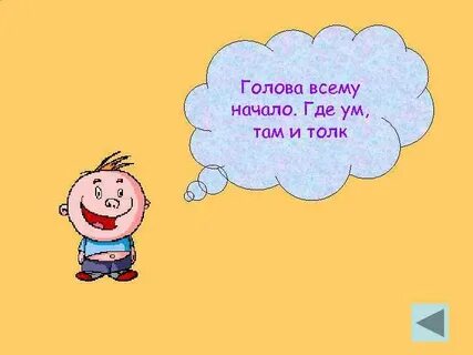 Голова всему начало