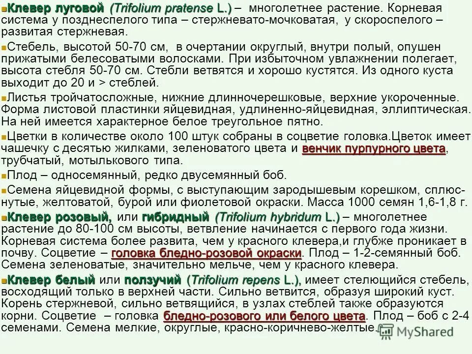 Сравнение клевера лугового и ползучего таблица - TouristMaps.ru