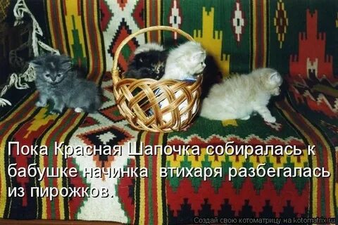 Пока красна
