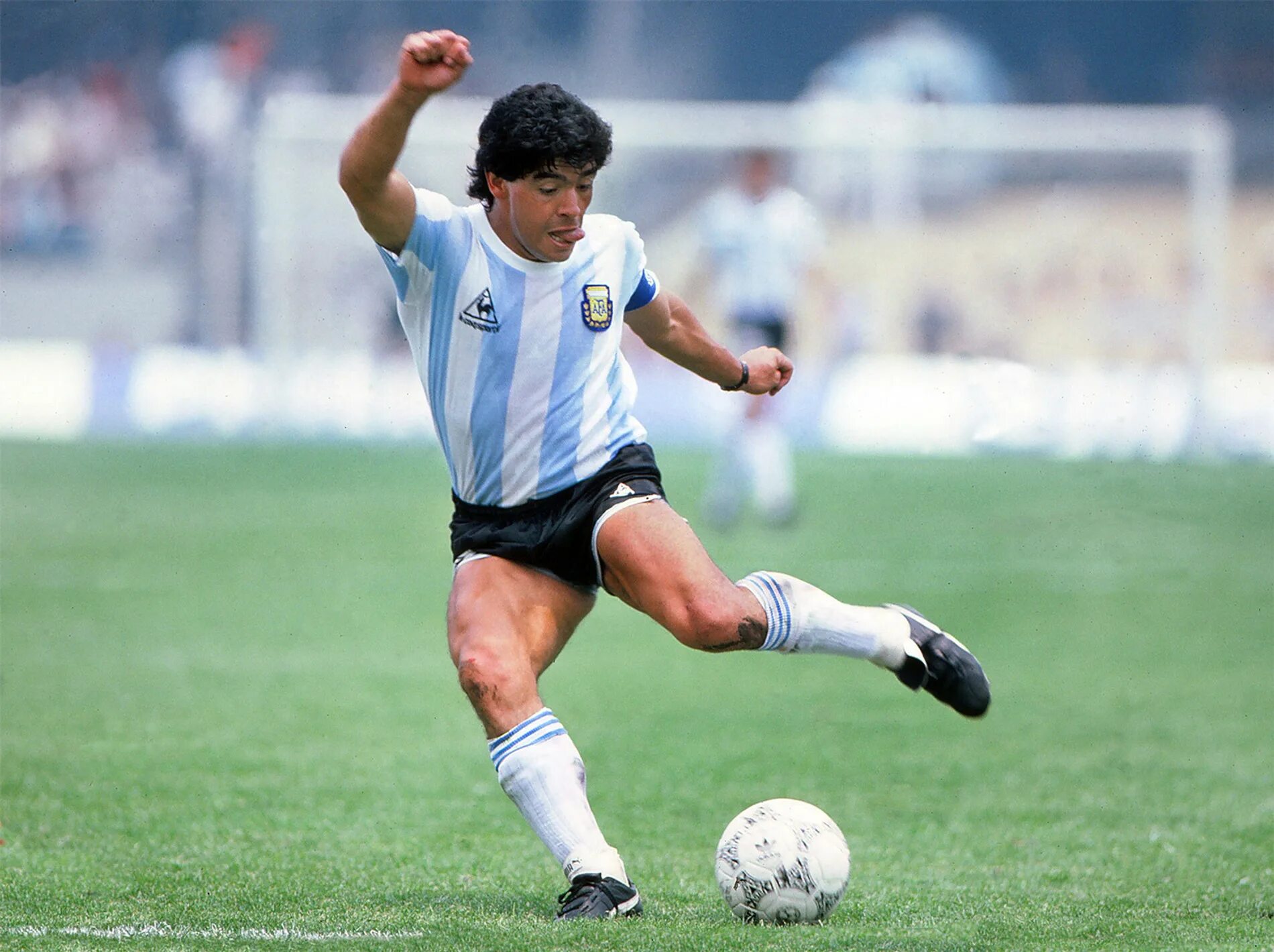 Марадона рост. Диего Армандо Марадона. Марадона 1986. Maradona футболист. Диего Марадона 1986.