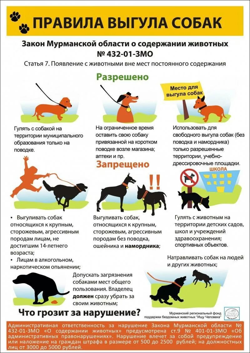 Новый закон о выгуле собак. Правила выгула собак. правила выгула домашних животных. правил содержания домашних животных. закон о выгуле собак.