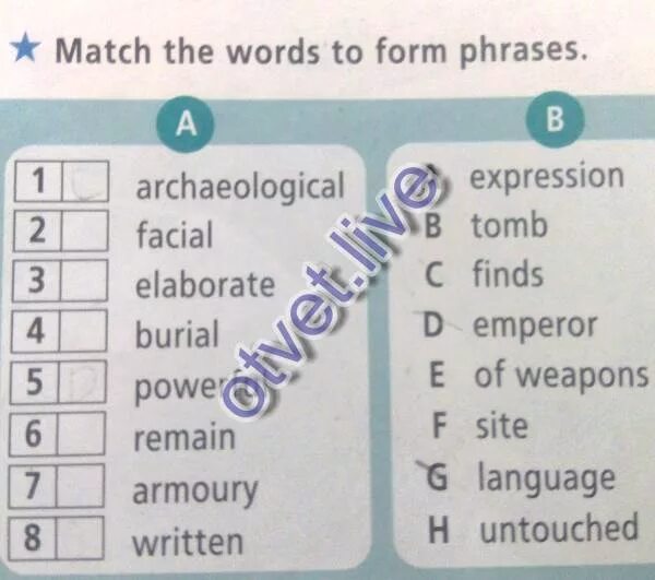 Match the words endangered. Match the Words to form phrases. Match the Words to form phrases 6 класс. Module 1 Match the Words to form phrases. March the Worlds to form phrases.