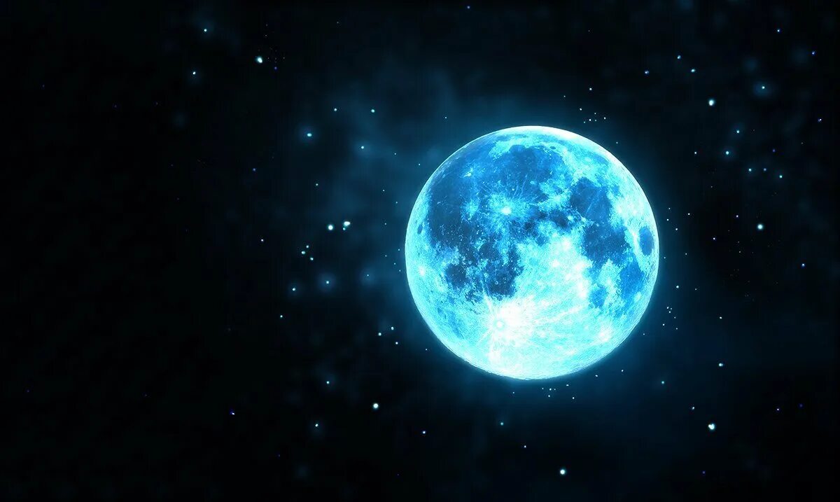 Luna net