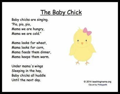 Chick перевод