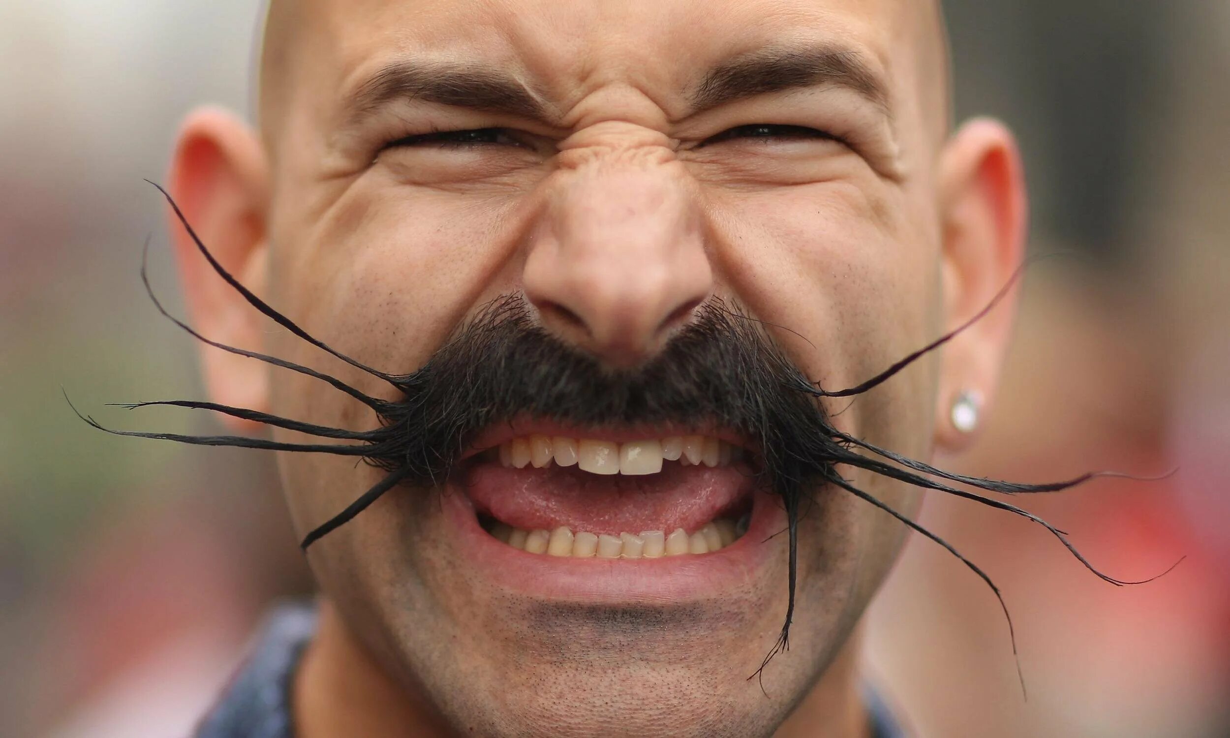 Летающие усы. Человек паук юмор. Летающие усы. Жак клюзо усы. Летающие усы.