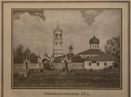 Погода в левкиево шаховская