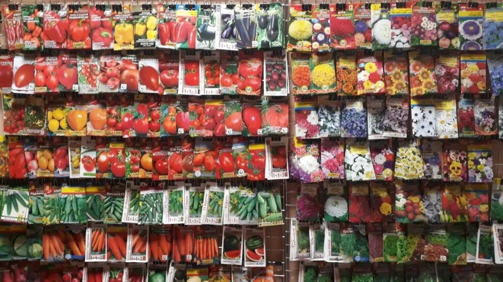 магазин сад огород. семена на прилавке. цветочный магазин семена. цветочный магазин семена. цветочный магазин семена.