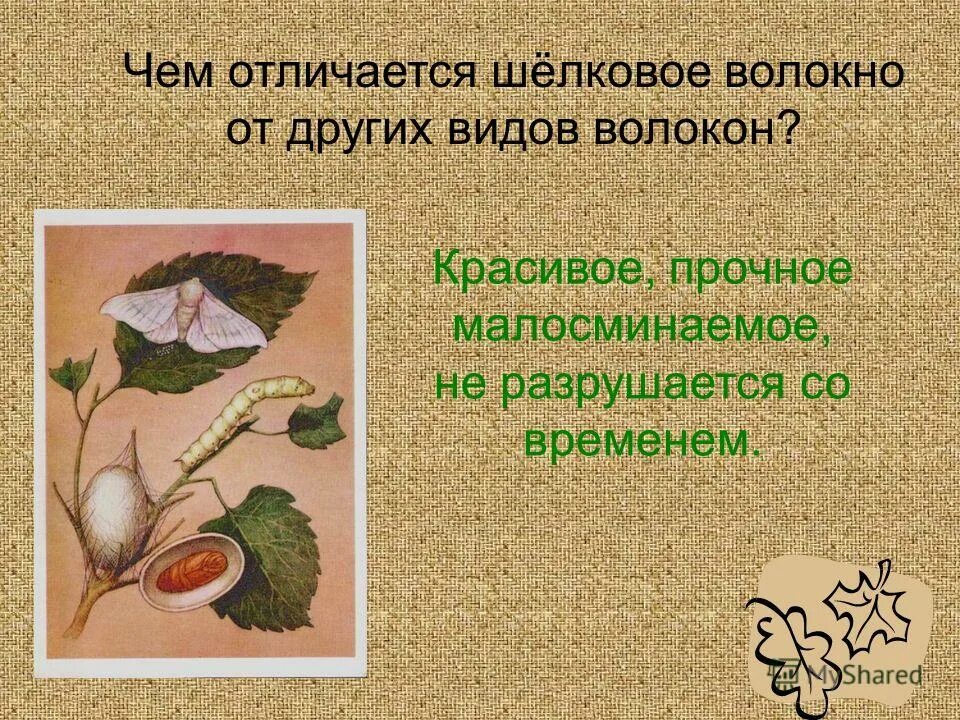 Описание шелковой ткани. Атлас и шелк отличия. Чем отличается шелк. Свойство натураотногошелка. Атлас ткань и шелк разница.