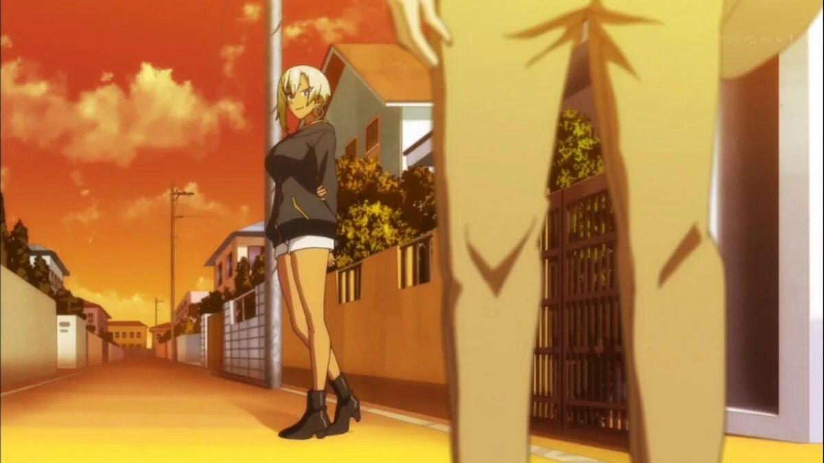 Kuroinu ii the animation. Kuroinu ii the animation
