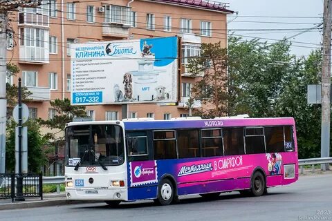 554 автобус адлер