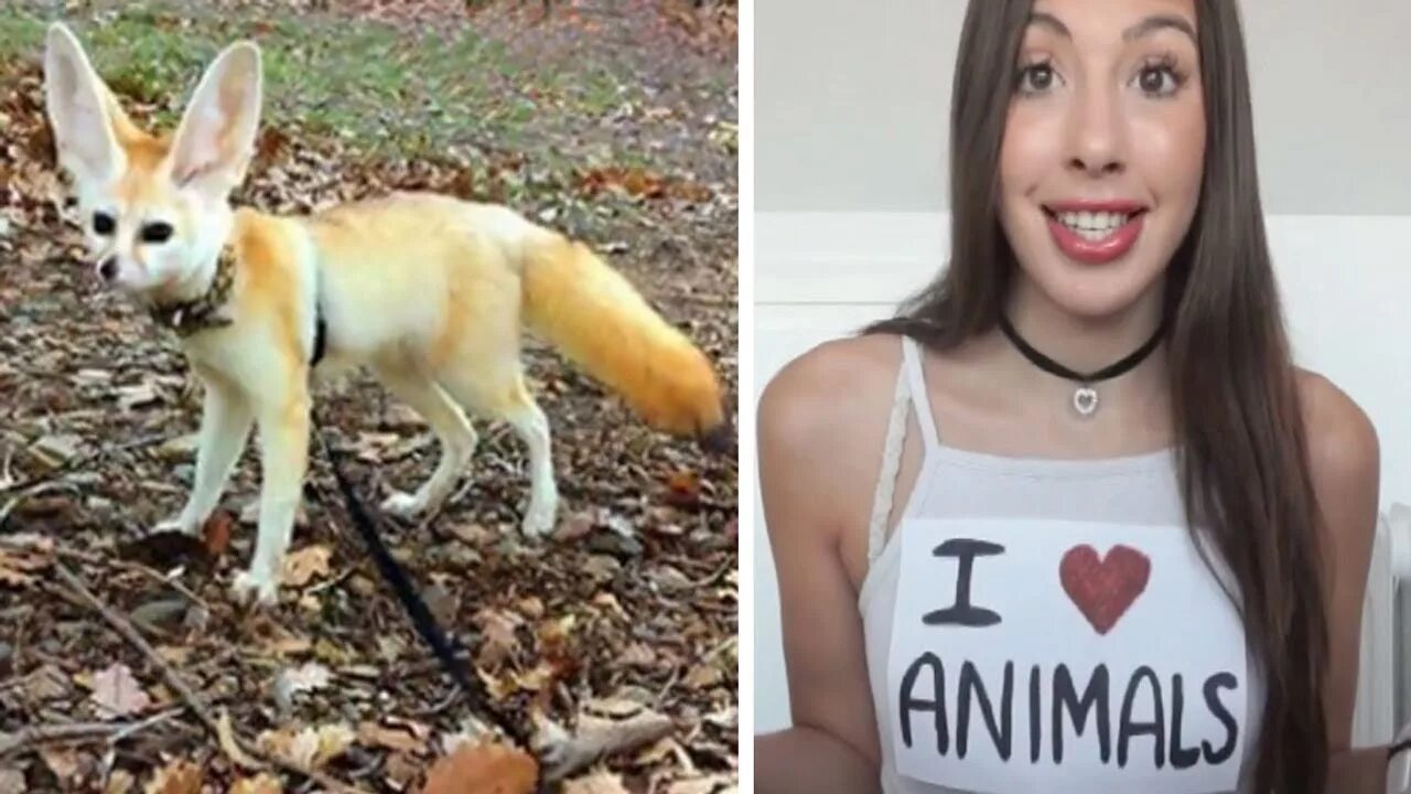 Женщина лисица. Финек. Veganfox света. Eating Fox настоящее Instagram.