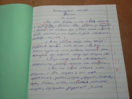Моя бабушка вела дневники диктант