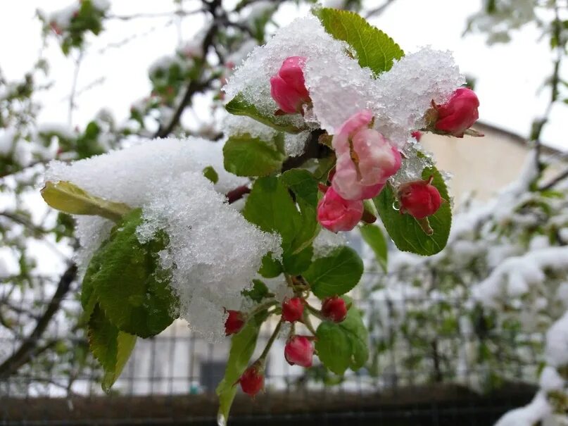 Иван никитин встреча зимы. Весной зимой. Встреча зимы. Альпийское озеро зимой. Картина встреча зимы никитин.