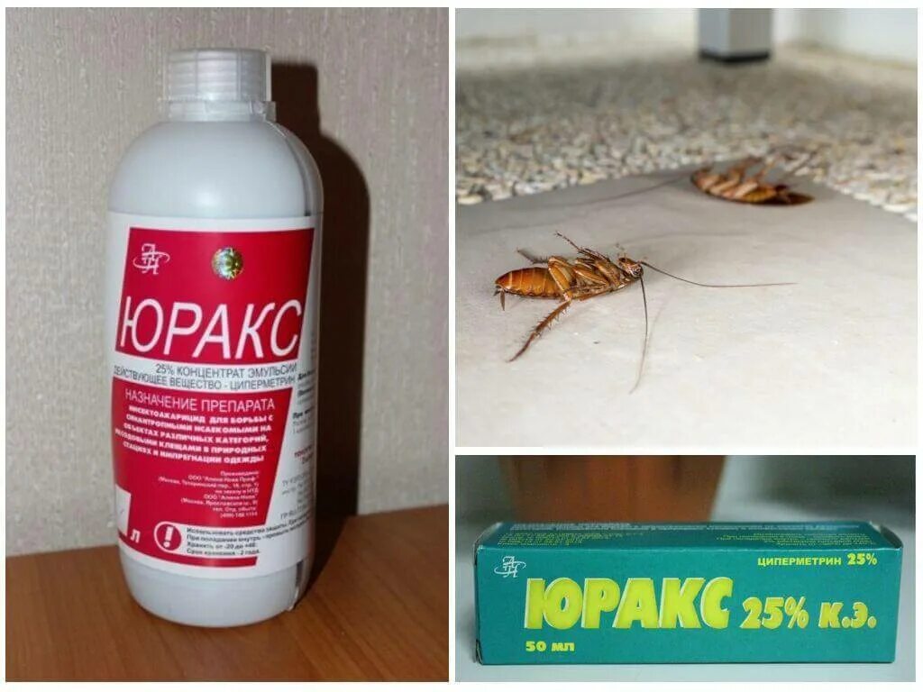 Сильное средство от тараканов. Юракс отрава. средство от тараканов юракс. препараты от клопов. от клопов и тараканов самое сильное средство.