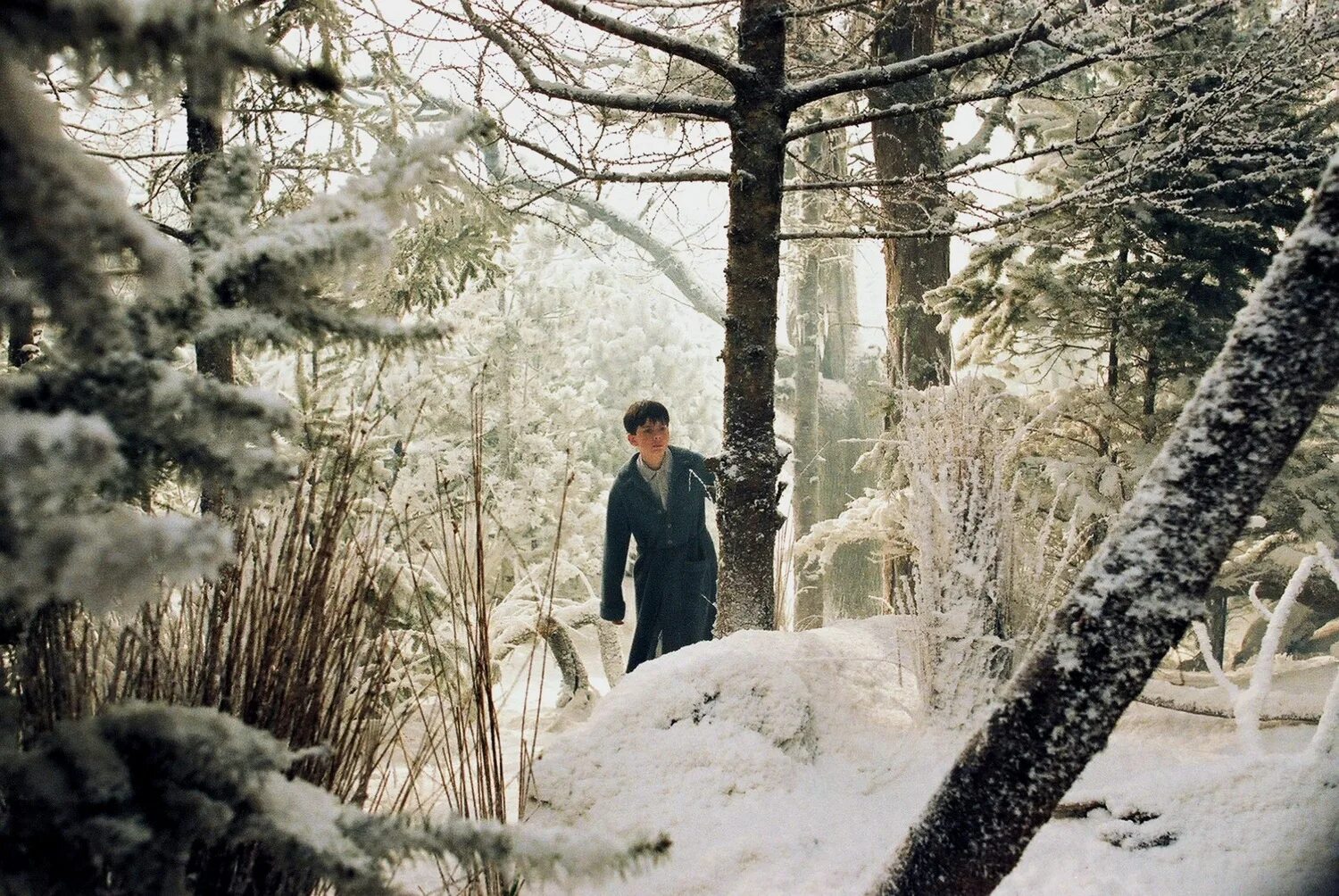хроники нарнии фонарный столб.