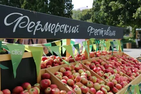 Фермерский орел