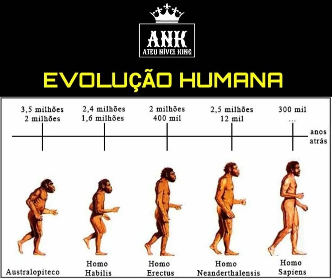 Evolution study. Evolution study