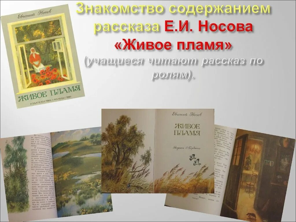 Живое пламя краткий пересказ 5 класс носов. Носов е. "живое пламя". Живое пламя Носов книга. Рассказ Носова живое пламя.