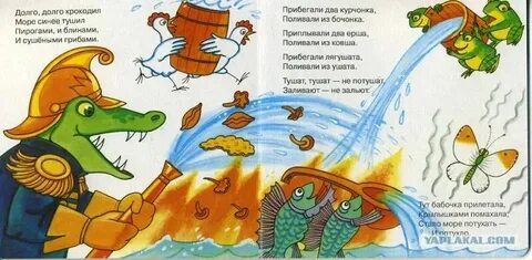 Материк скука путаница чайка
