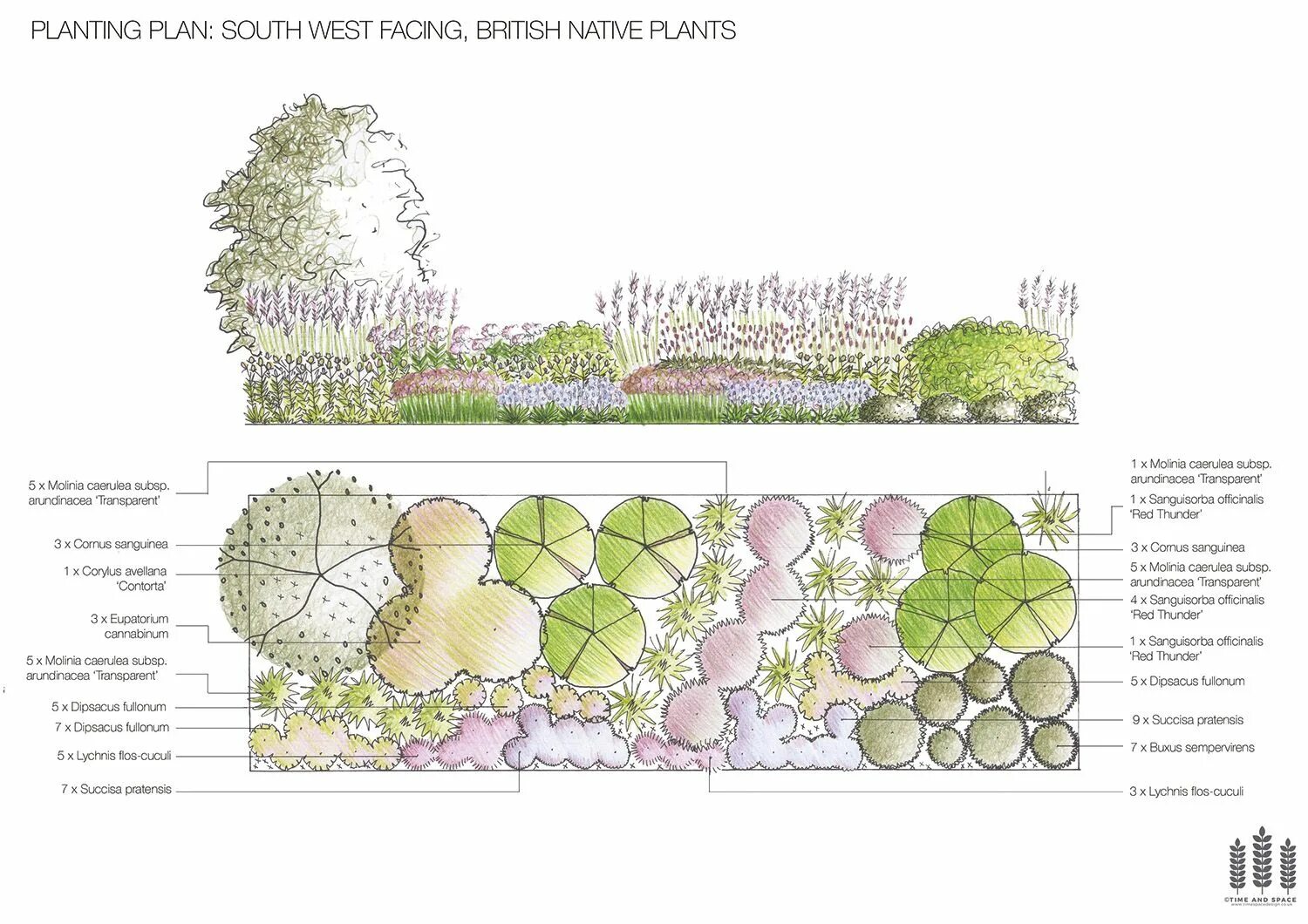 Plan plant. Пит Удольф схема посадки. Цветники пита Удольфа схема посадки. Цветники пита Удольфа схема. Планы цветников пита Удольфа.