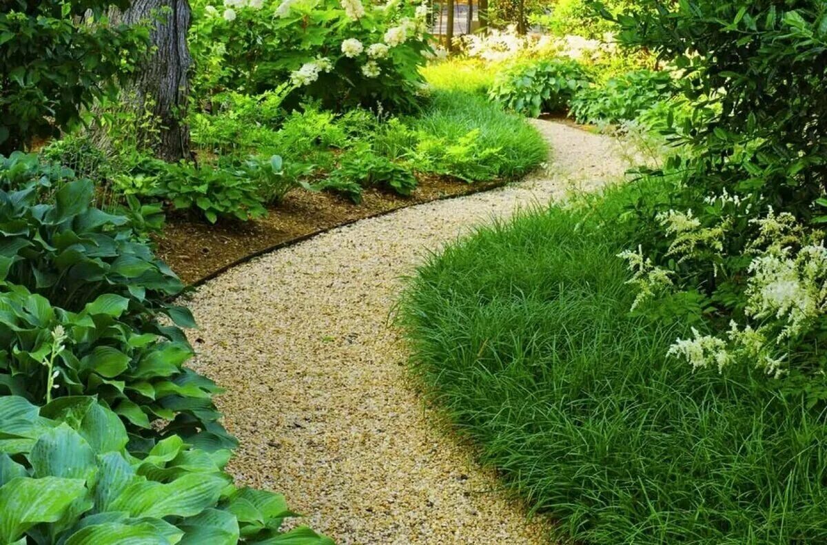 Садовые дорожки. Красивые дорожки. Красивые дорожки. Садовые дорожки. Аркадия гарден гравийные дорожки.