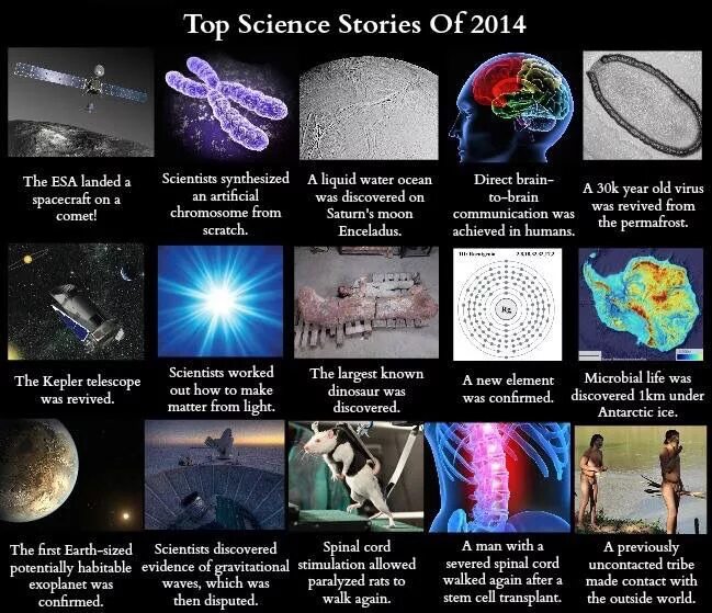Scientists have discovered that being