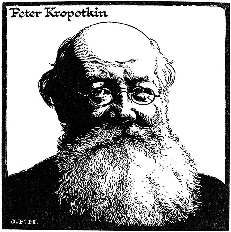Кн. Д н кропоткин. Кропоткин ( 1842-1921). Д н кропоткин. П.