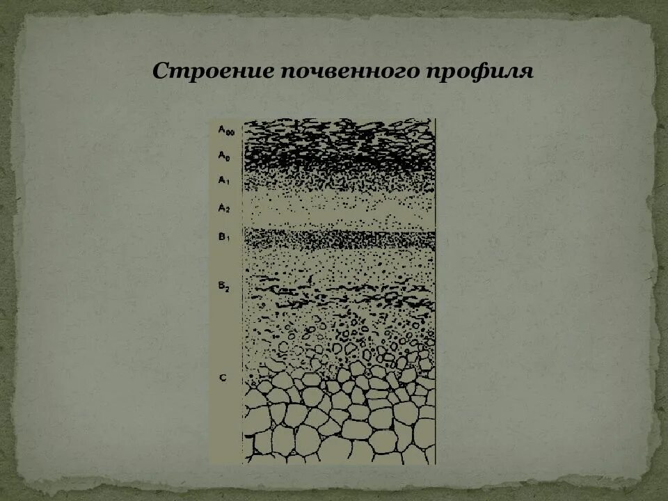 Типы строения почвенного профиля. Схема строения почвенного профиля. почвенный профиль рисунок. строение почвенного профиля почвенные горизонты. строение почвы рисунок.