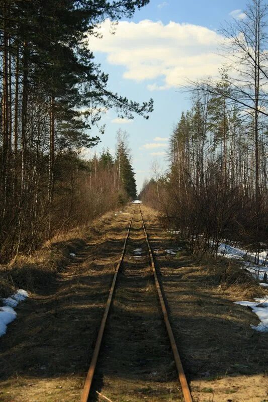 Бакшеево московская область. Бакшеево узкоколейка. Бакшеево УЖД 2020. Узкоколейка Рошаль. Курчатов узкоколейка.