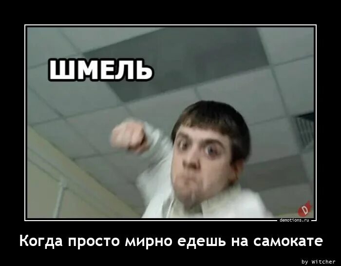 А ты хорош. Паскуда. Паскуда. Юмор. Поскуда.