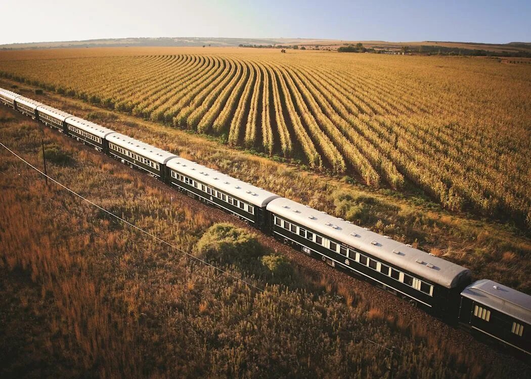 Rovos Rail (Южная Африка). РОВОС рейл поезд ЮАР. Rovos Rail поезд. Pride of Africa поезд.