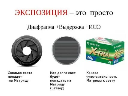 Диафрагма что это простыми словами