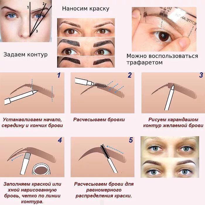 Схема бровей. Правильная форма бровей схема. Схема покраски бровей. Брови схема корректировки.